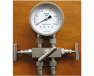 金华差压表带三阀组